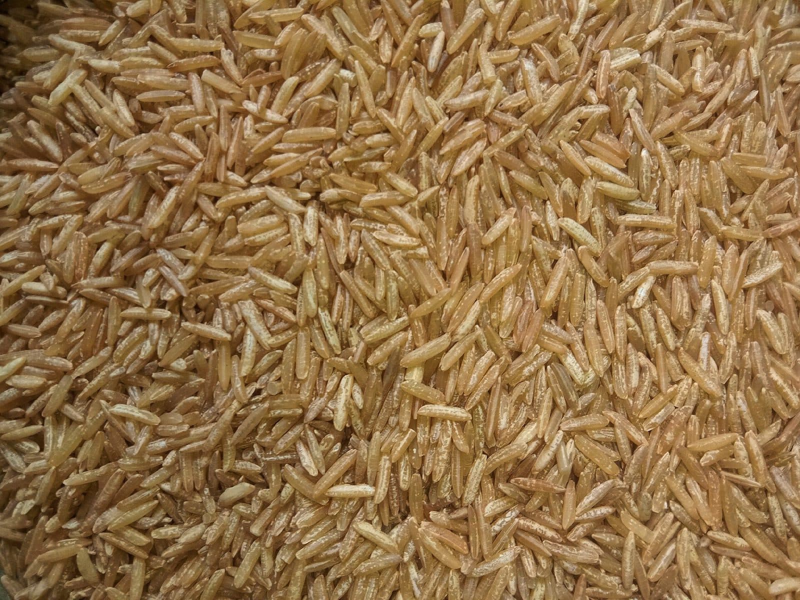 A mound of uncooked brown rice, bran still on the grain.