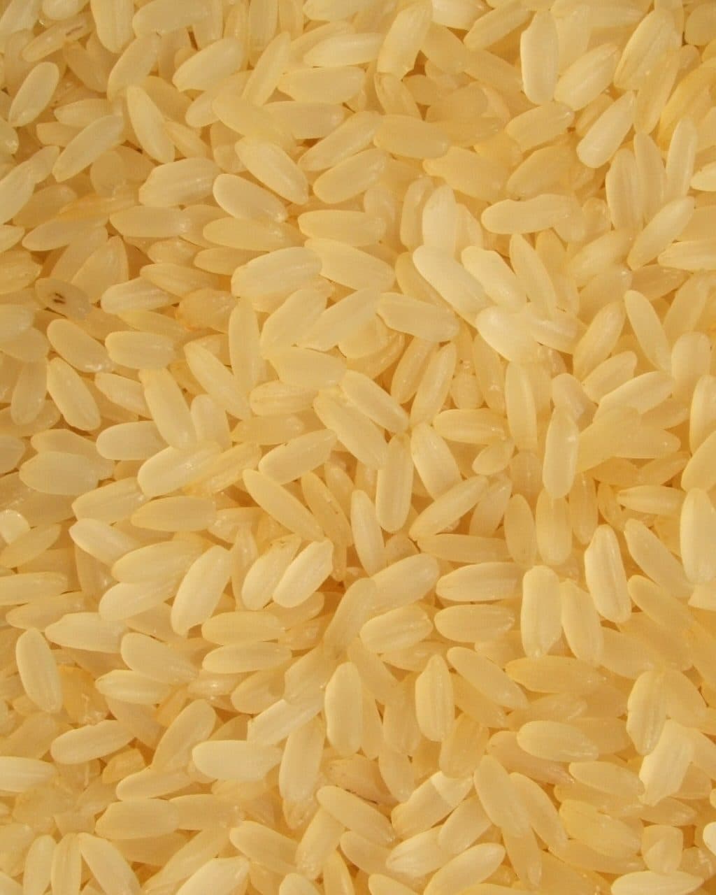Golden parboiled rice grains.